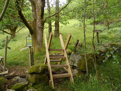 Gjerdeklyver i skille mellom innmark og utmark.
