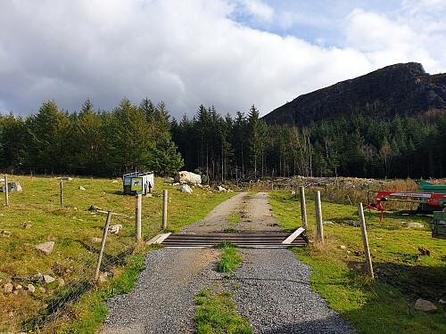 Traktorvegen eg fulgte oppover aust for Krogedal.
