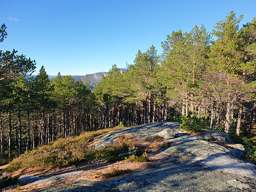På toppen av Einang.
