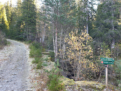 Vegdele på ca 620 moh. Fulgte vegen opp, og kom frå høgre ned om kvelden.