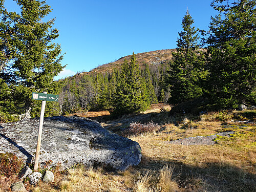 På ca 900 moh med god merking til Valefjell.