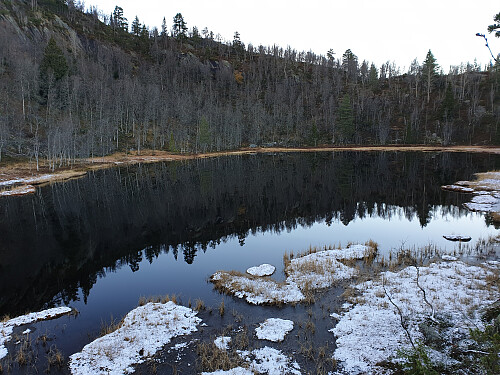 Farkoddtjørni 746 moh.