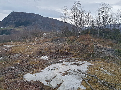 På Bønaråsen med Nipen t.v.