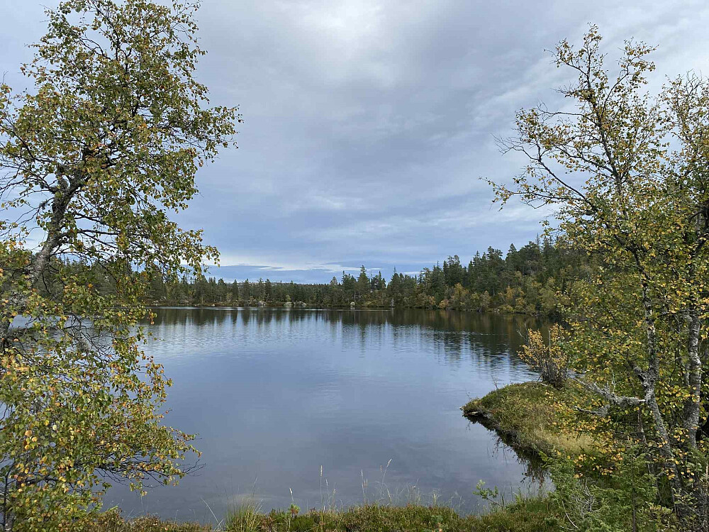 Flott inne ved Neråsvatnet.