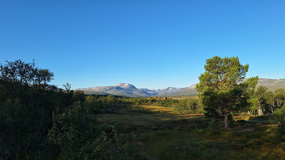 Målet i sikte helt fra start.