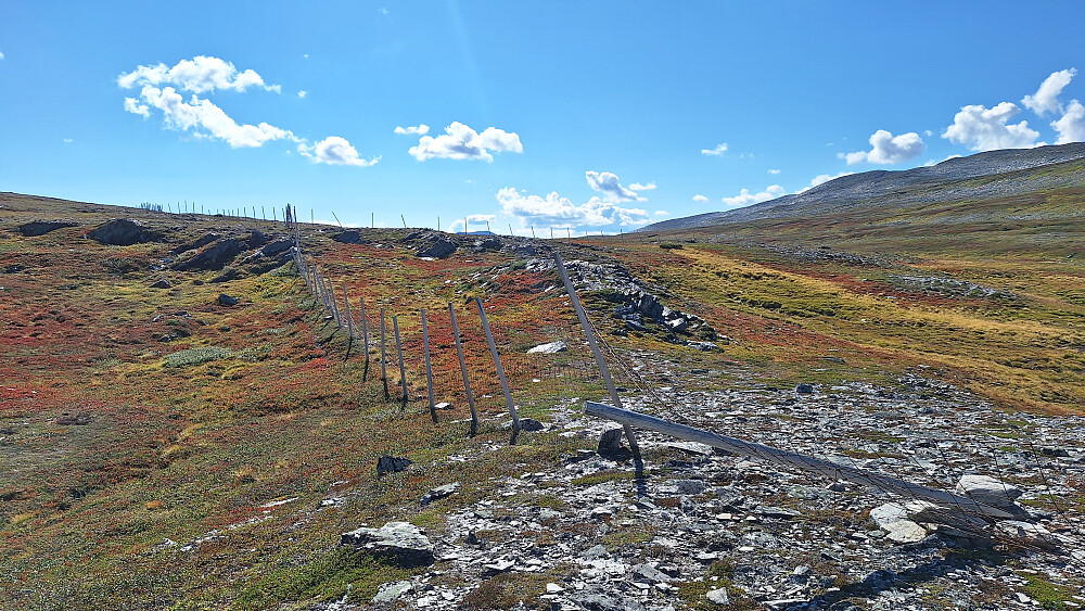 Reingjerde til besvær. Akrobatikk under gjerdet på vei opp, balansering over her på returen. 