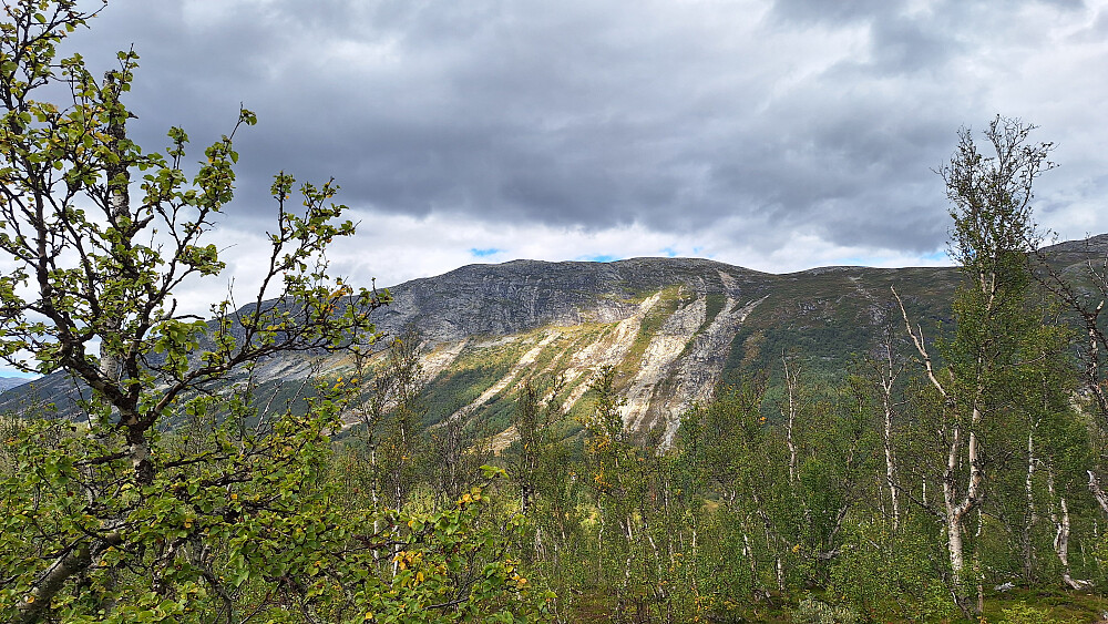 Ras i Brøstedalen.