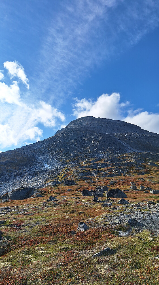 Ottdalskammen. 
