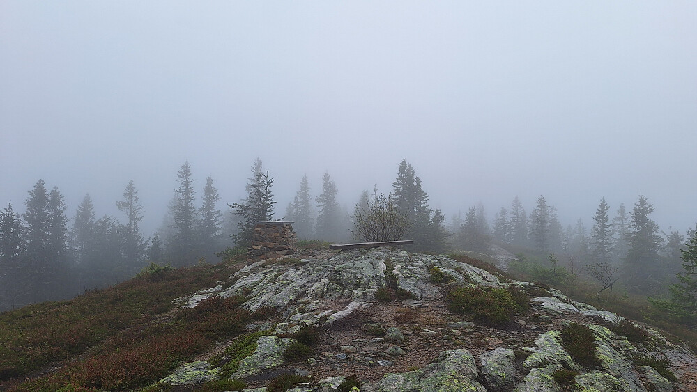 Regn, vind og 10 grader.