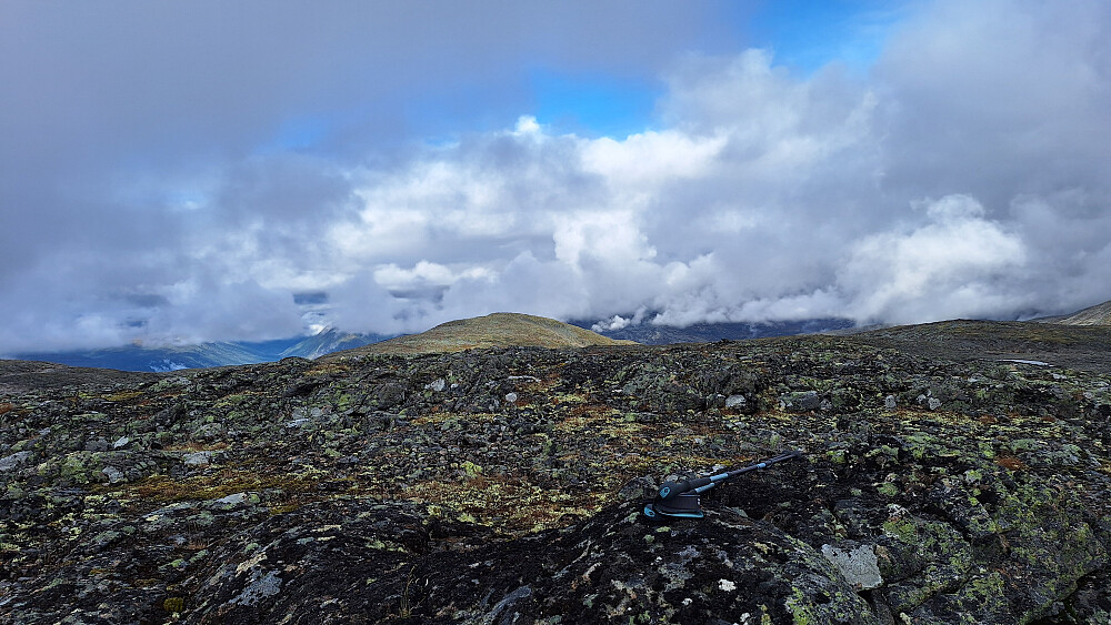Hestehovden.