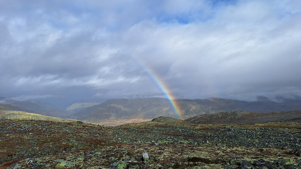 Regn, bittelitt sol og mer regn.