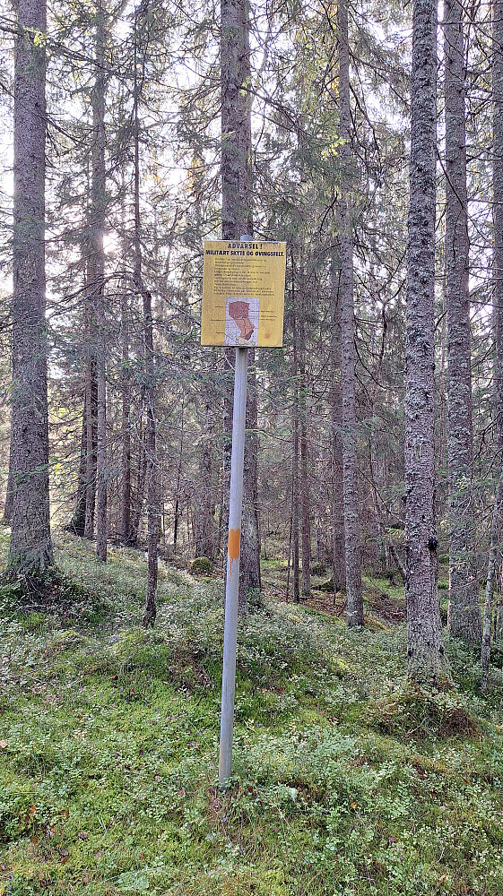 Midt i svarte skogen. 