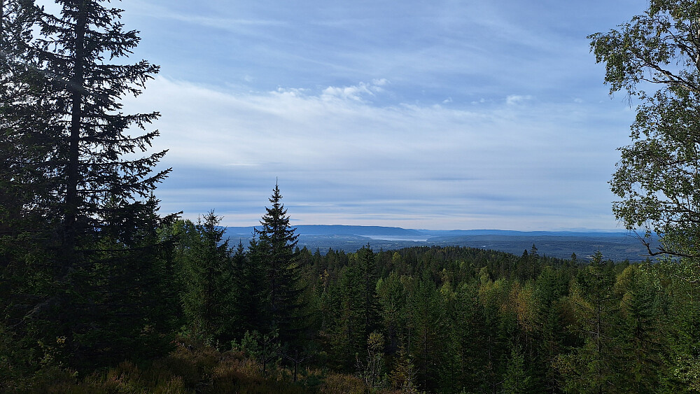 Tyrifjorden. 