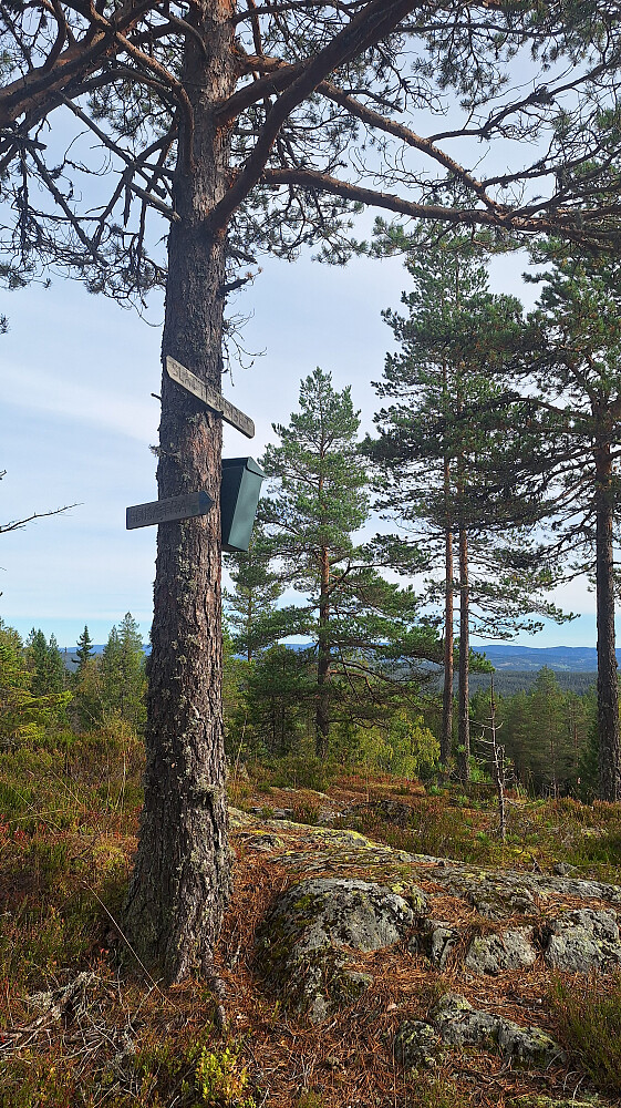 Litt utsikt fra postkassehøyden.