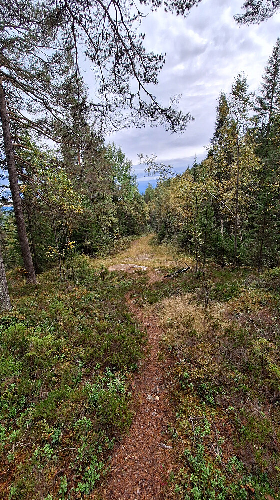 Stistart ved veis ende, men det var bare siste sikksakken som var gressdekt, resten av veien var grov pukkstein.