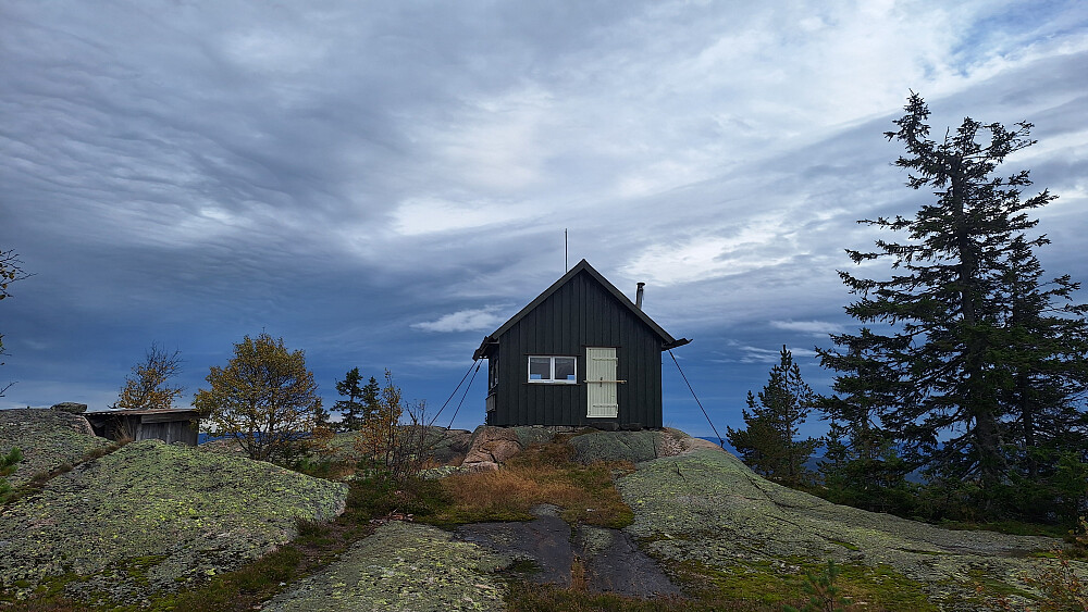 Kongsgårdkollen.