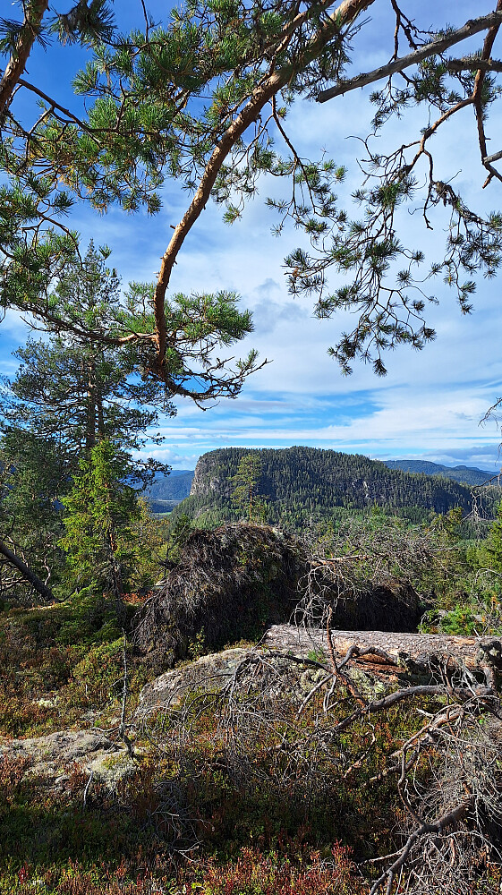 Puttekollen.