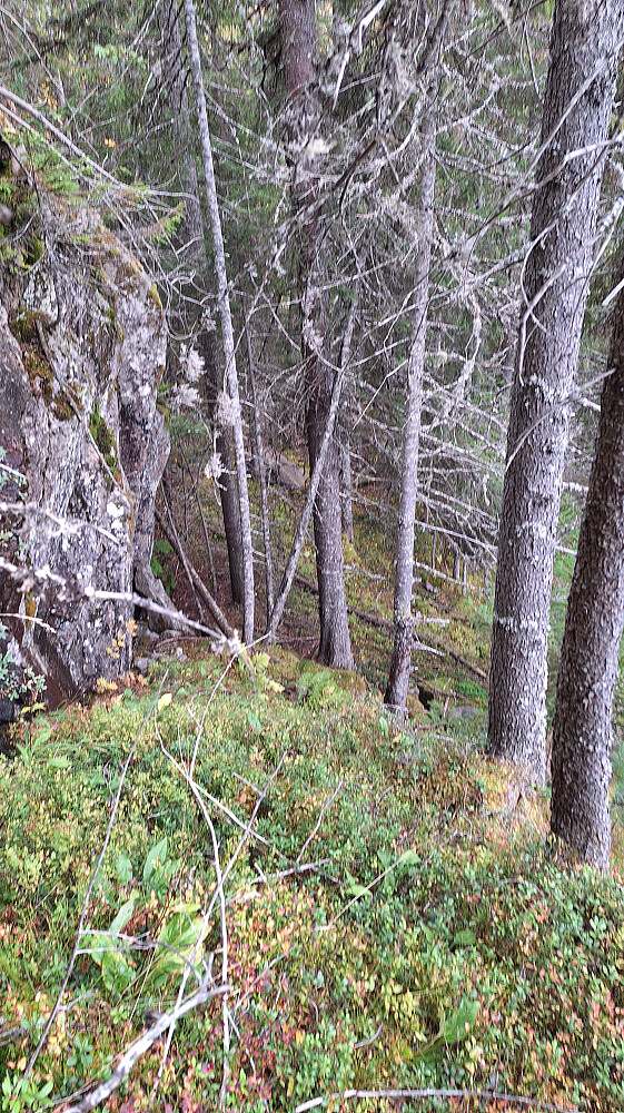 Fant et grønt hakk i skrentrekka. 
