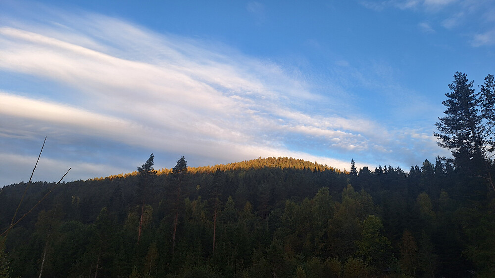 Storsvehøgda. 