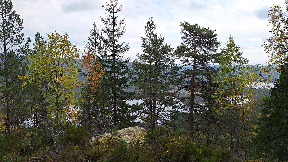 Litt utsikt fra Blekåsen. 