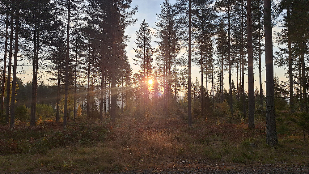 Fin start på dagen. 