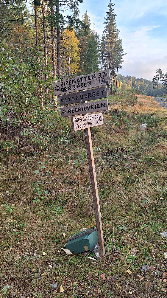 Et ordentlig skilt ved veien. Resten var så som så. 