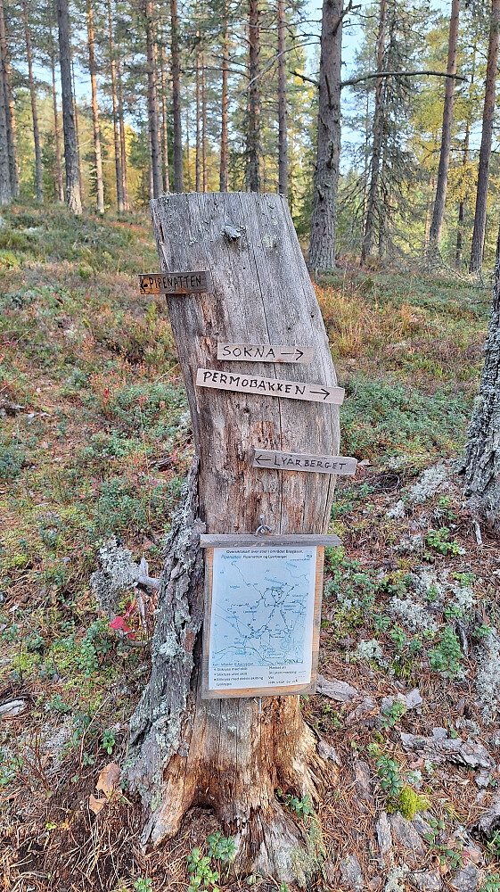 Mistet stien flere ganger og plutselig dukket denne opp.