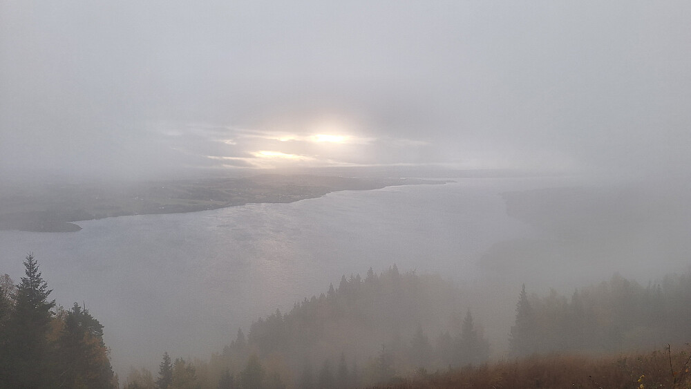 Ventet i et halvt minutt og fikk fem sekunders gløtt før alt forsvant igjen. 
