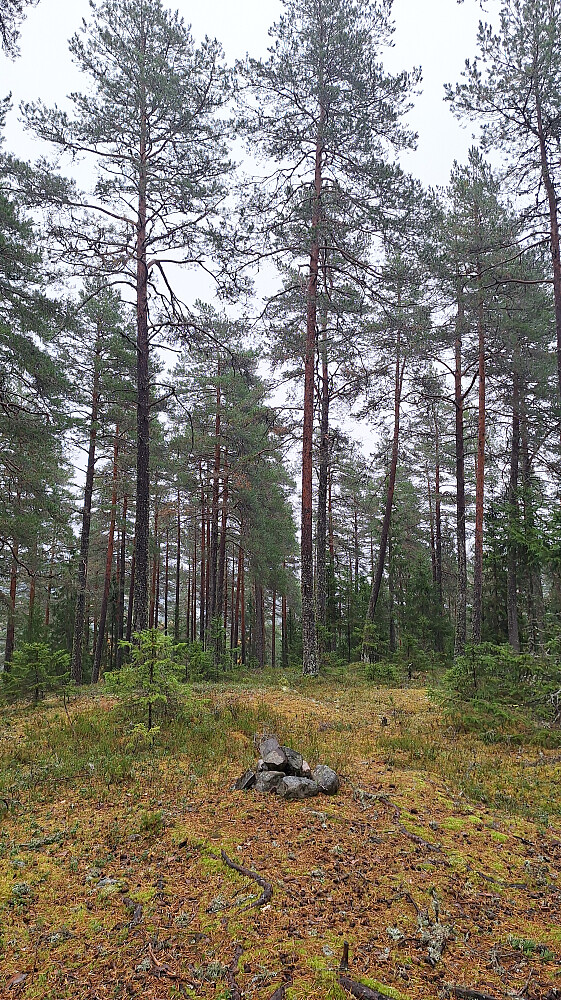 Søkkende vått i dag. 