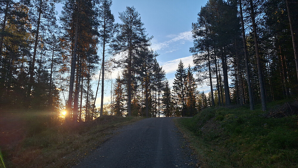 Oppover i Strømsoddbygda.