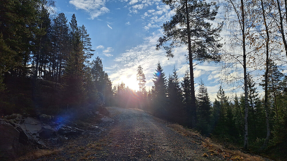 Dagens høydepunkt. 