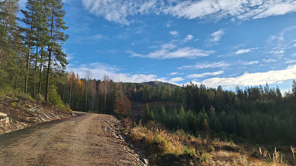 Rudskollen.