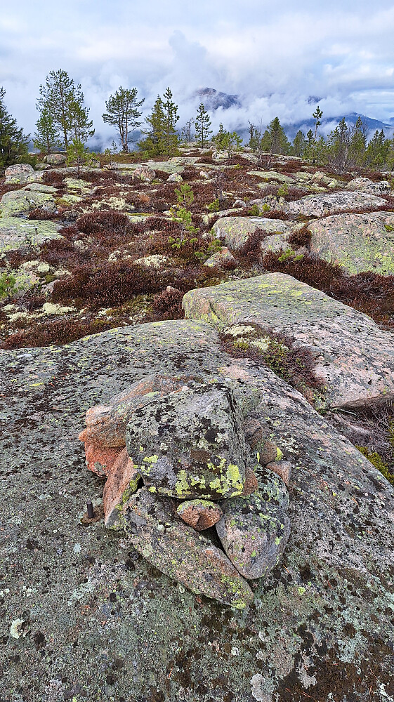 Eidvasskollen.