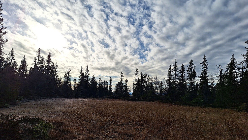 Fulgte sti til denne myra ved Delingskollen.