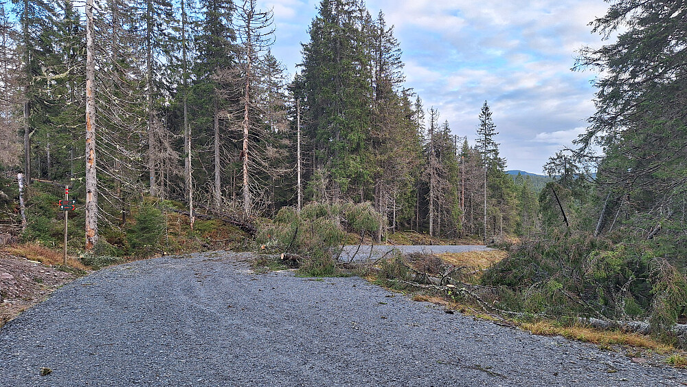 Veien var delvis ryddet etter Amy mens stien ikke var mulig å følge.