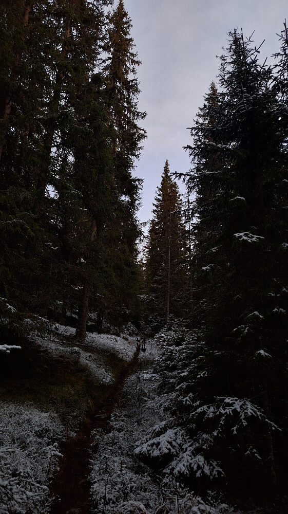 Tynt snølag innimellom. 