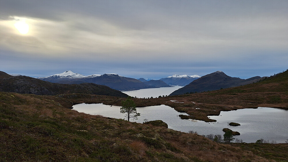 Lomtjørna mellom Foksåta og Skåla.