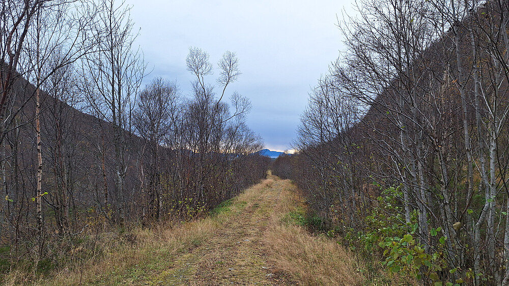 Fin trasé ut Vågsdalen. 