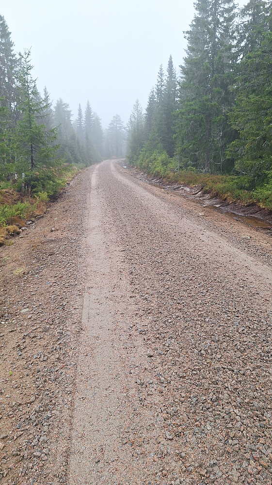 Madsbergveien, et av de bedre partiene.
