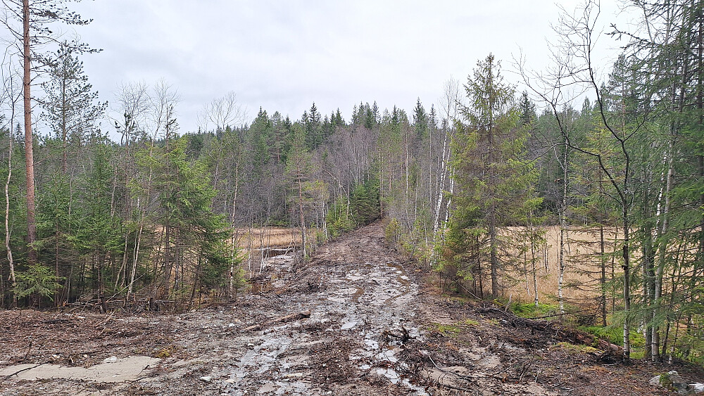 Passe klinete mellom Gunhildåsen og Høgås.
