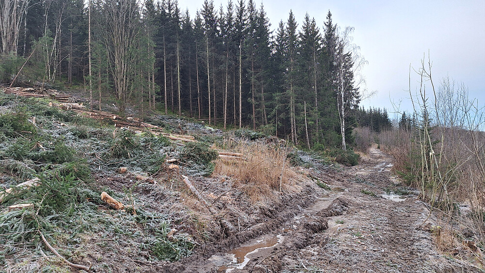 Gjørmen var klaka...