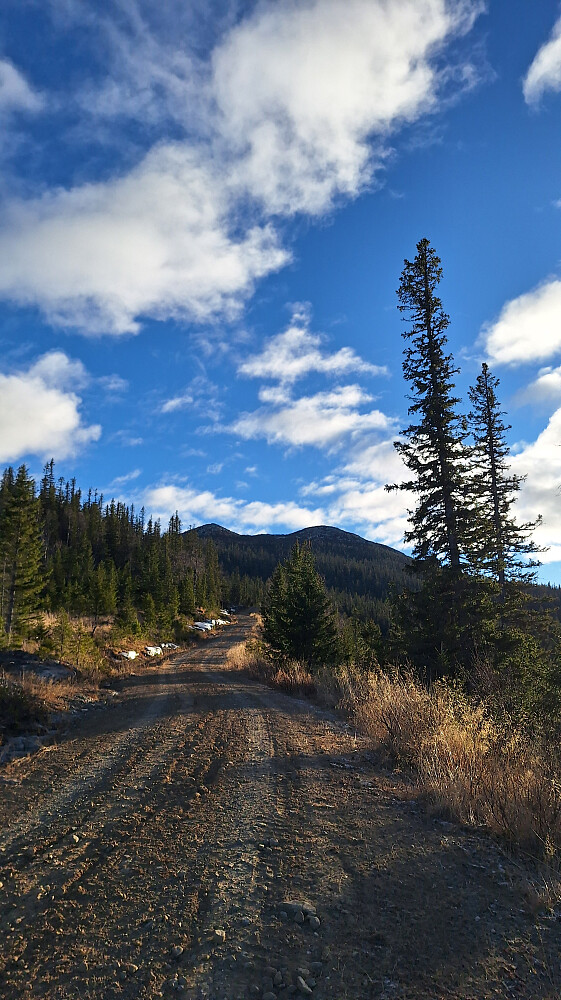 Tilbakeblikk Treknatten nord.