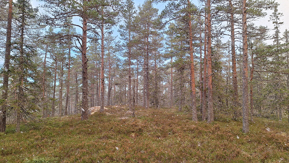 Snøvær før blå himmel igjen.