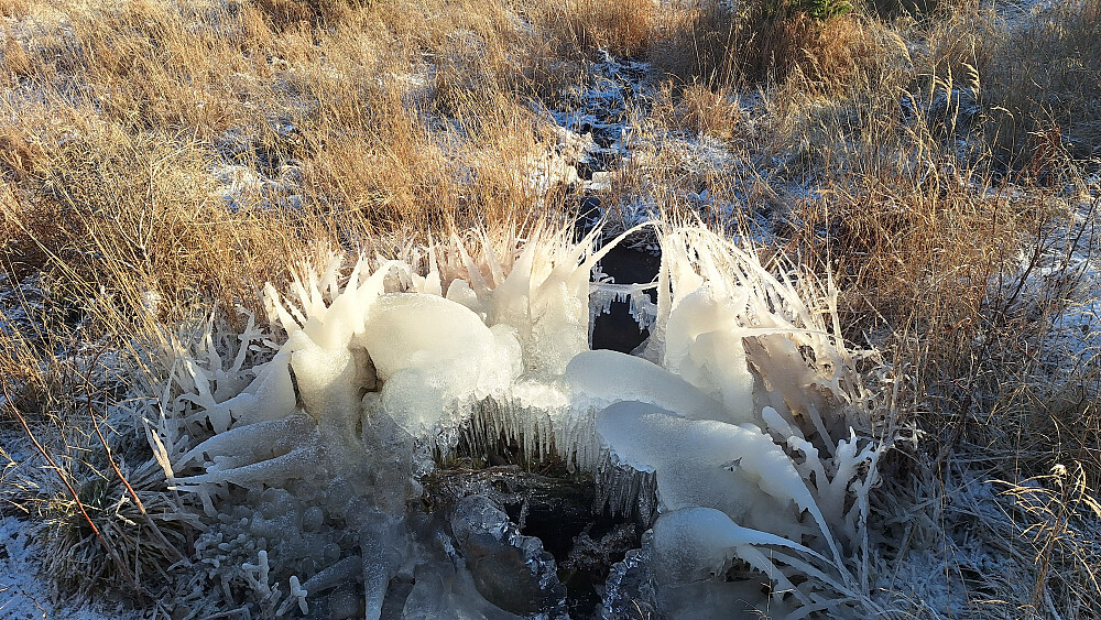 Ni minusgrader på Brumund ga flere snodige isdannelser.