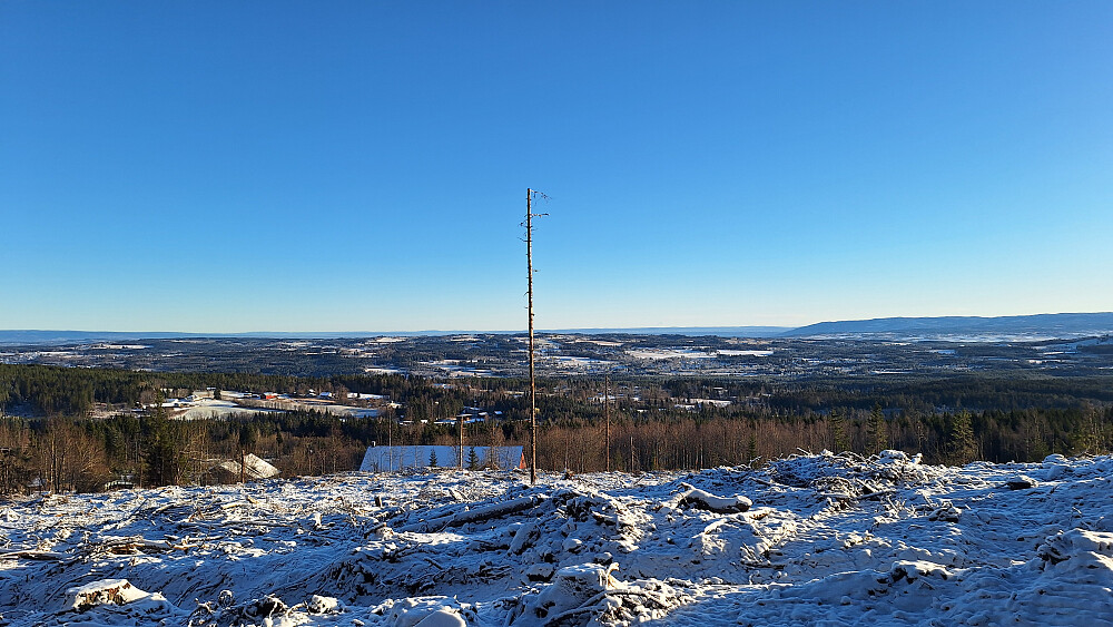 Mer utsikt med nytt hogstfelt. 