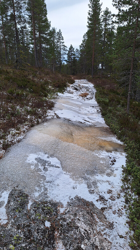 Litt kjøving her og der i stien. 
