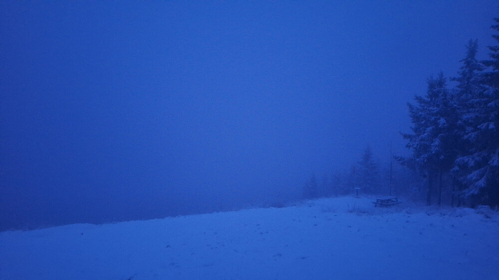 Tåka la seg før jeg rakk opp.