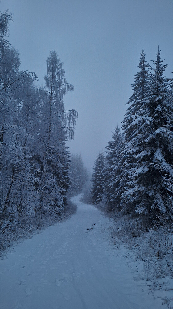 Men veldig fint likevel :-)