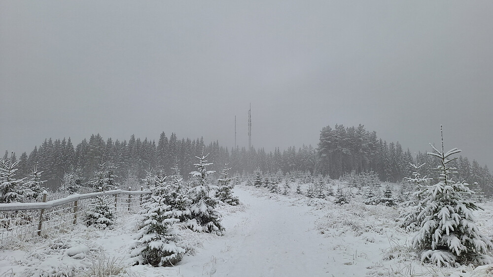 Fin sti til Børrestuberget.