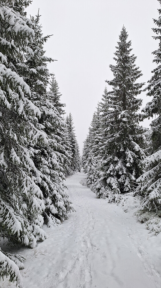 Mer snø i høyden, men over 0 grader her også i dag.